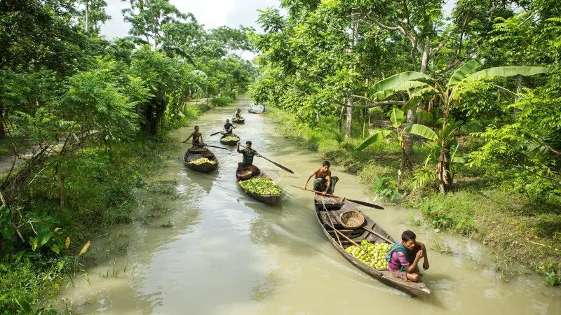 Boat Trading Scene