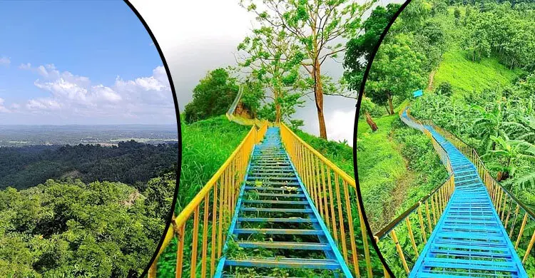 Hill Viewpoint