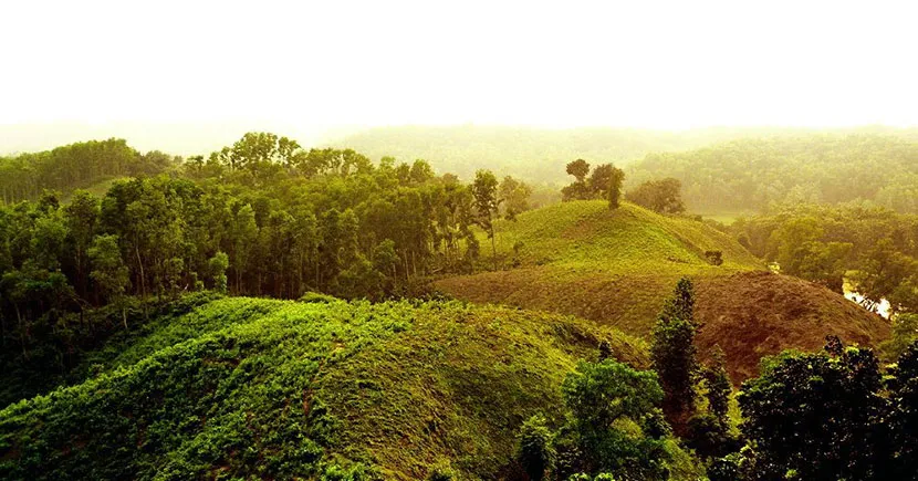 Hill View