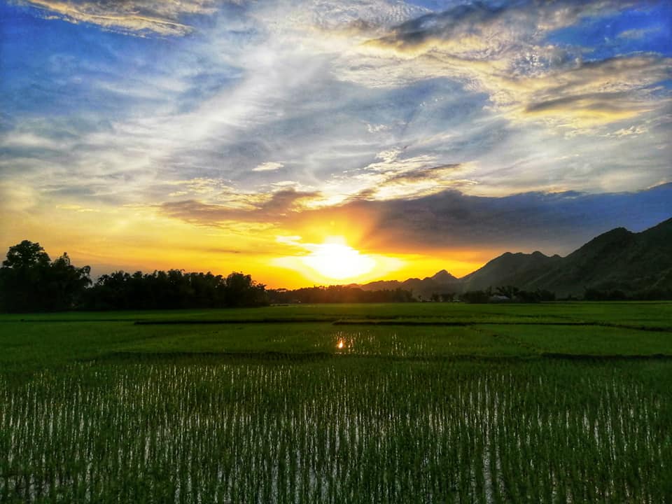 Sunset View