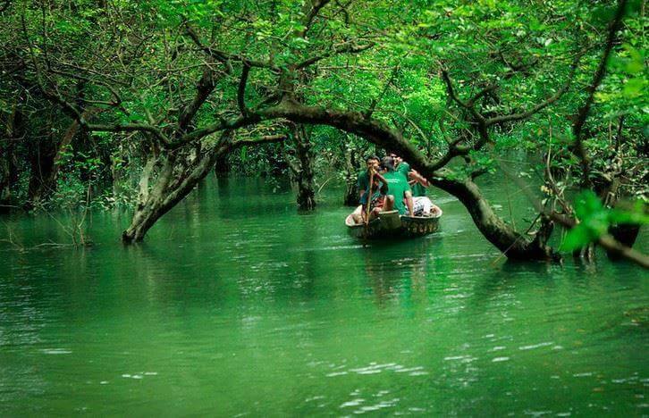Boat Journey